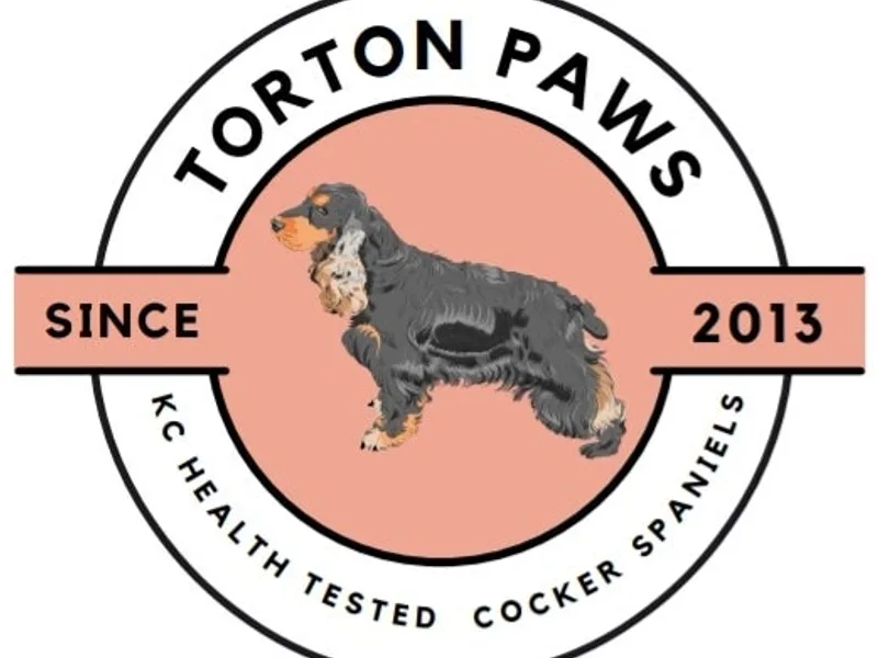 Tortonpaws photo 1