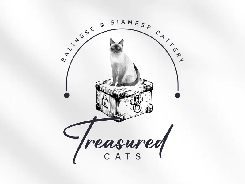 TreasuredCats photo 1