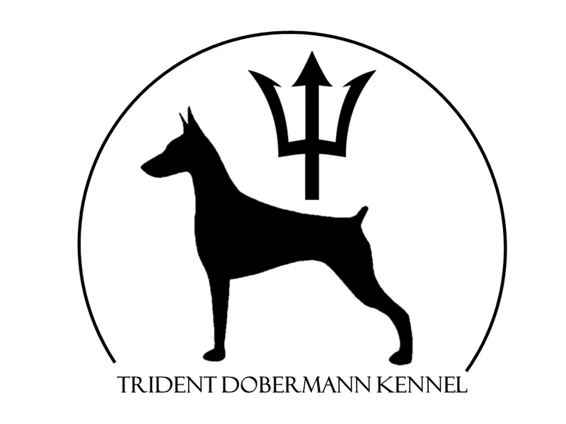 Trident Dobermann Kennel