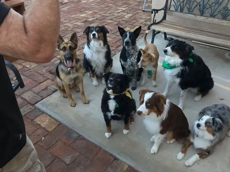 Trina and Jeffrey Steele