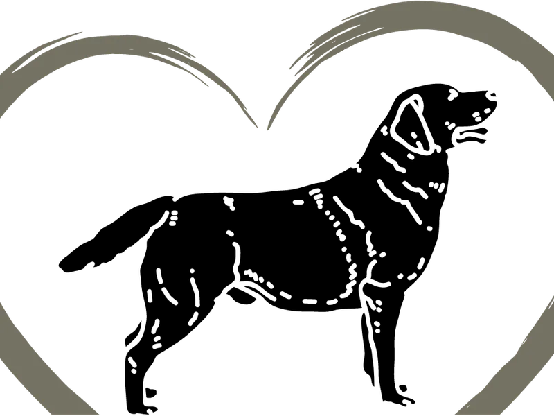 Twisted Clovers Labrador Retrievers