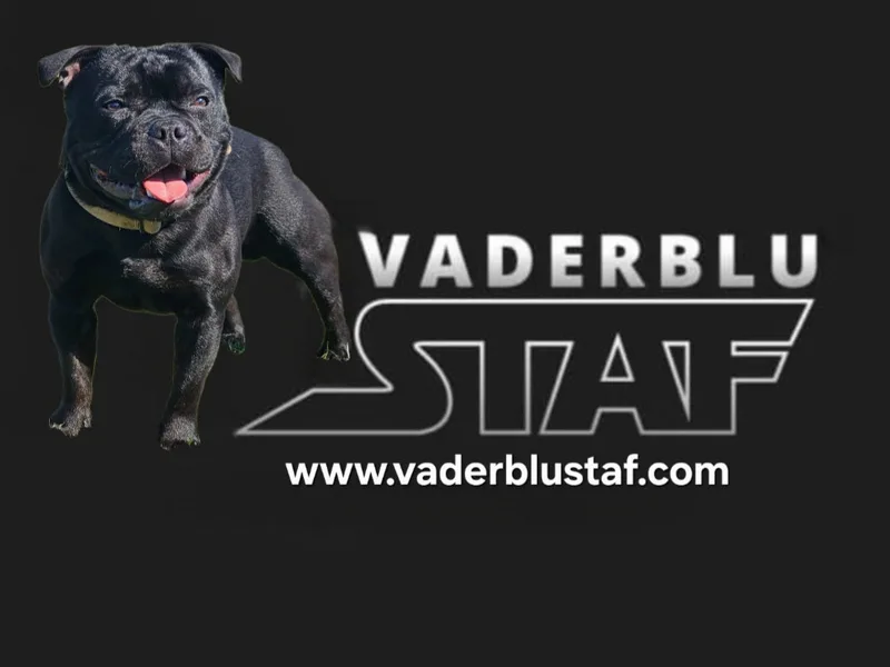 VADERBLUSTAF SBTs photo 1
