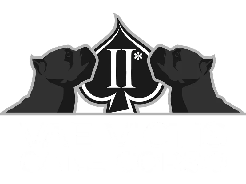 Vae Victis Cane Corso