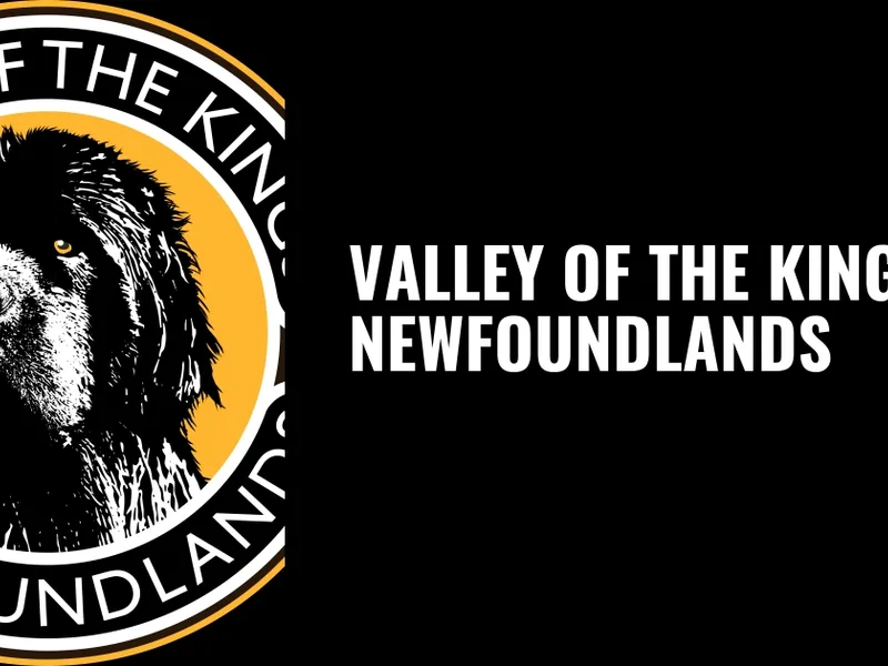 Valley of the Kings Newfoundlands