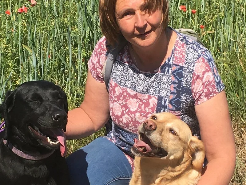 Varkata Labradors and Leonbergers  photo 1