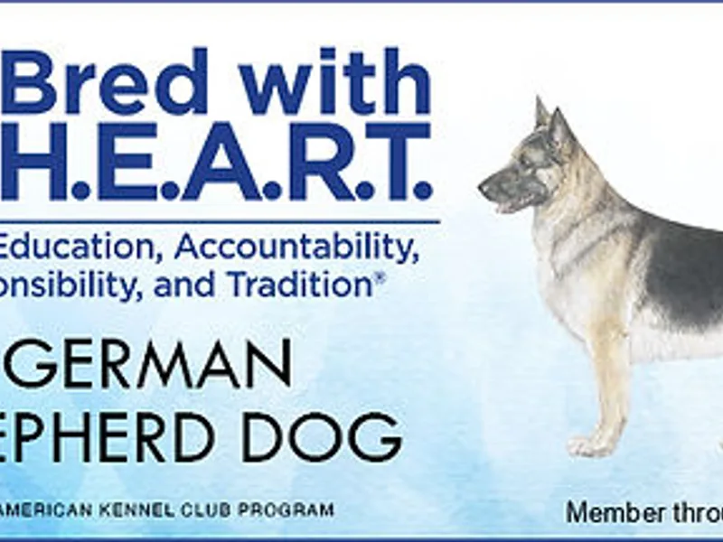 vd Hunde der Neuen Äre