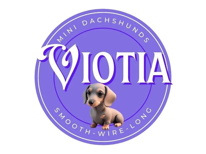 Viotia  photo 1