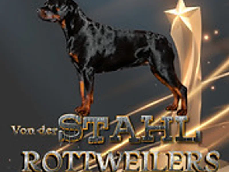 Von der Stahl Rottweilers