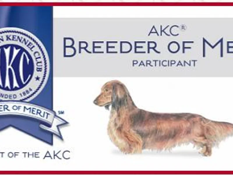 Von Wolff Kennel Miniature and Standard Dachshunds