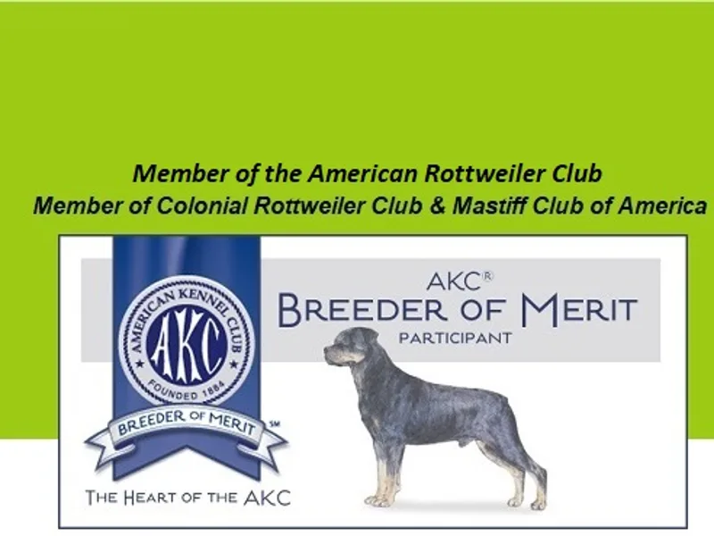 VonBremen Rottweilers