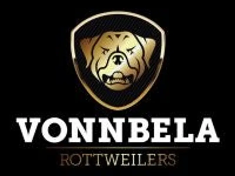 Vonnbela Rottweilers photo 1