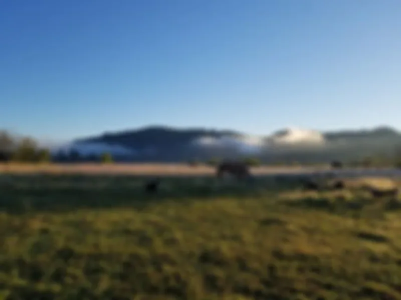 Wandering Acres Ranch