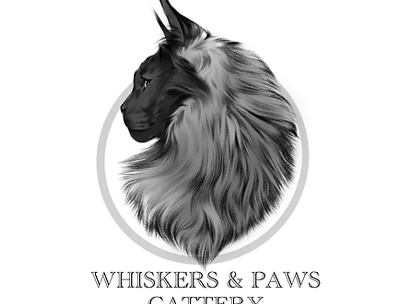 Whiskersandpaws