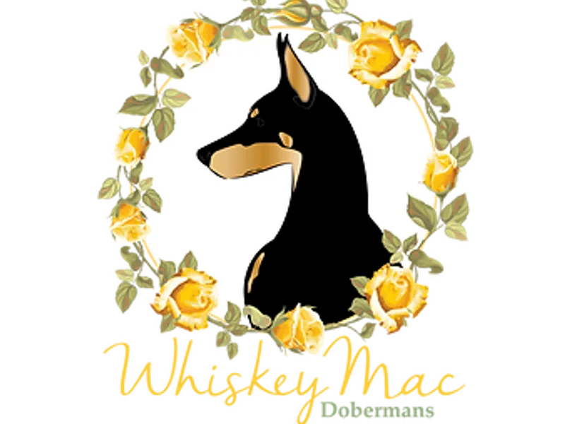 Whiskey Mac Dobermans