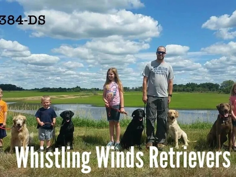 Whistling Winds Retrievers