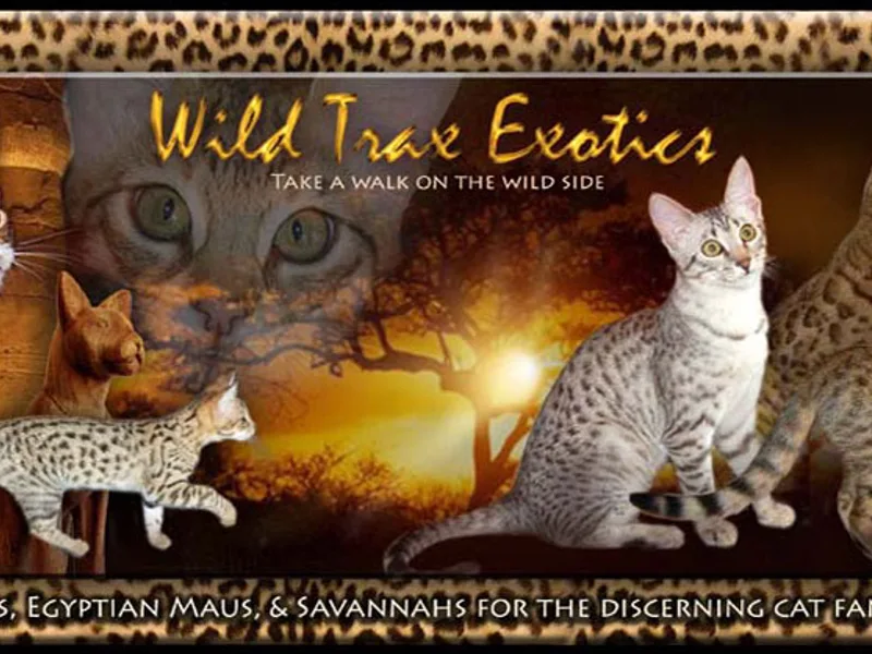 Wildtrax photo 1