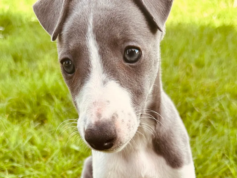 william Keith photo 1