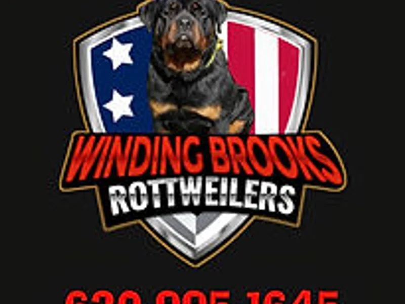 Winding Brooks Rottweilers