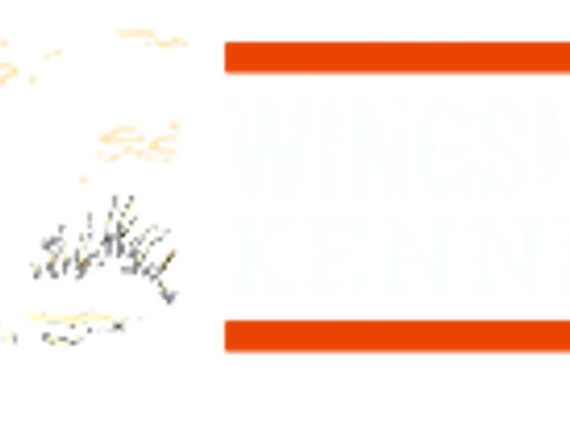 Wingshooter Kennels. LLC