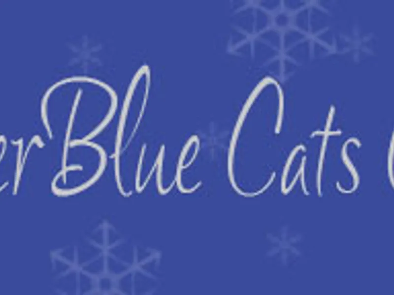 Winterblue photo 1
