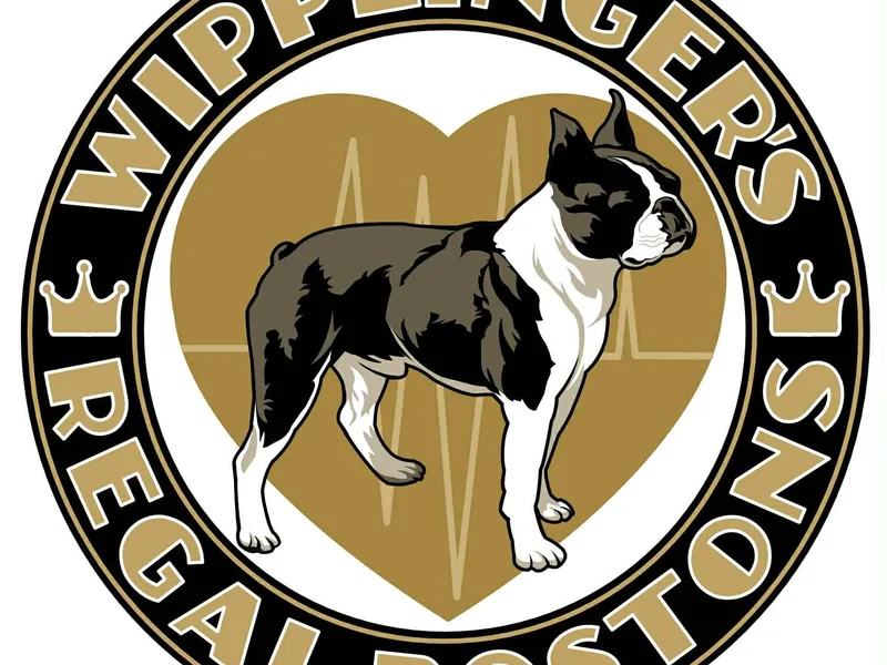 WIPPLINGER'S REGAL BOSTONS