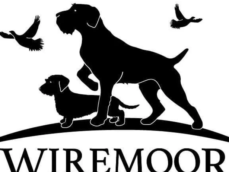 Wiremoor Gundogs photo 1
