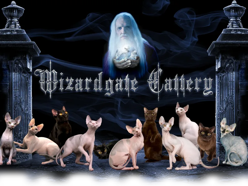 Wizardgate photo 1