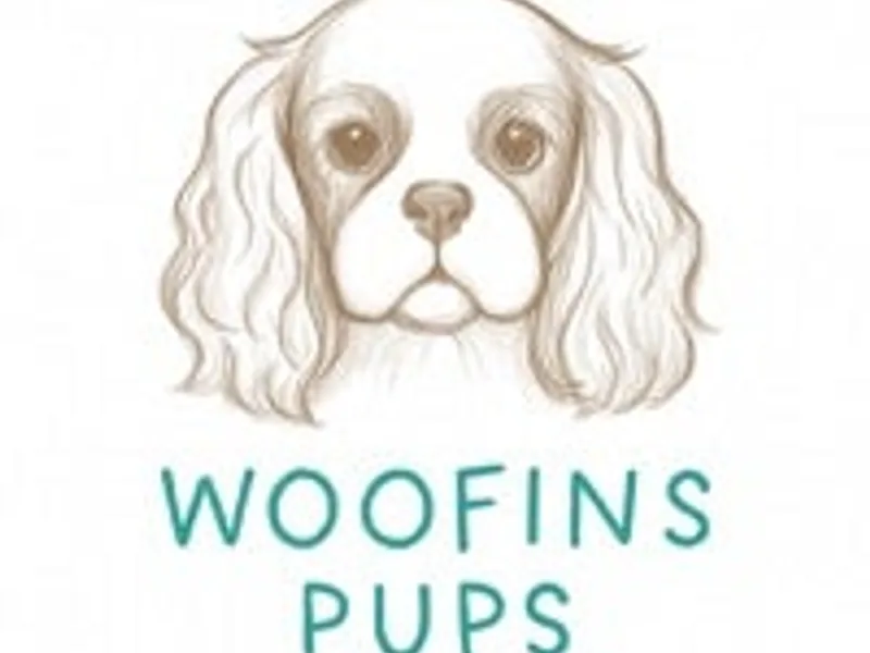 Woofins Pups photo 1