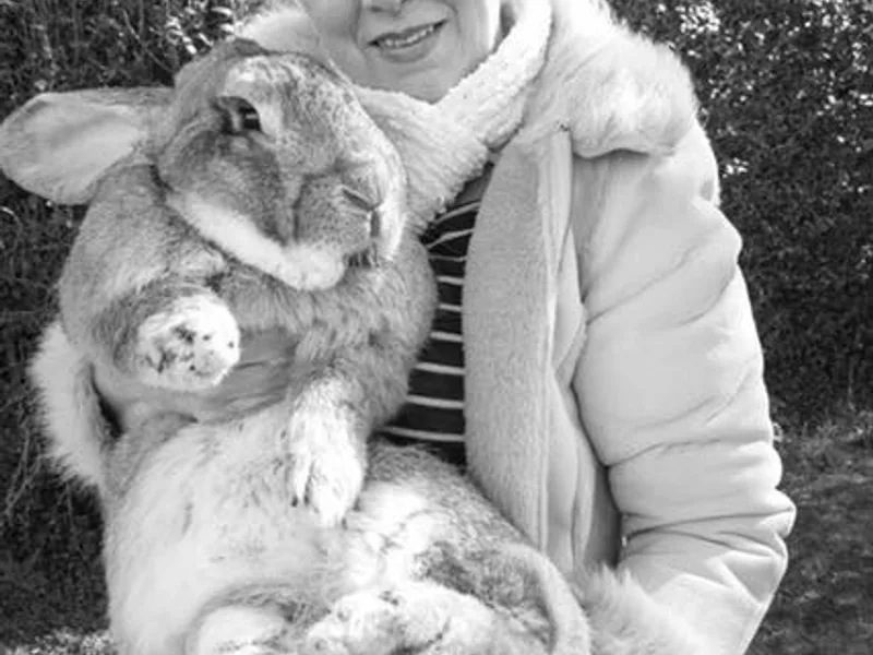 Worlds Biggest Bunnies 4 Guinness World Records photo 1