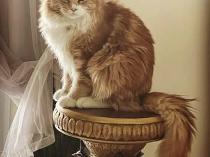 ZOEZACCATTERY photo 1