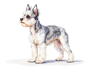 Affenpinscher