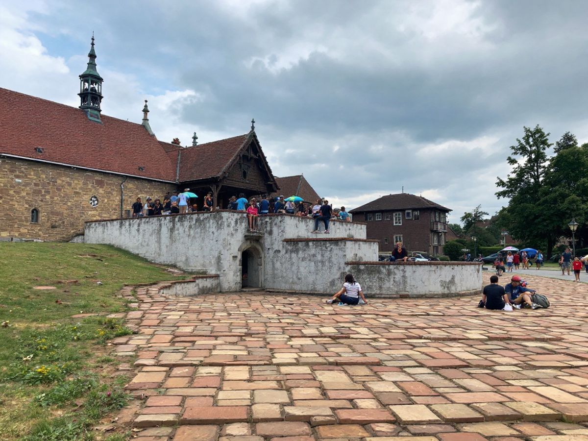 Chinese Shar-Pei — Adonis Wrinkles