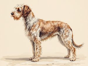 Wirehaired Pointing Griffon