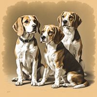 Reverend Phillip's Beagles