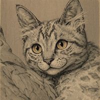 Jean Sugden Mill's Crosses