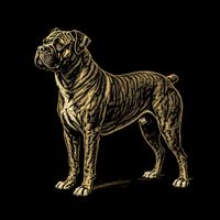 Brabanter Bullenbeisser