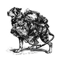 Rottweiler Metzgerhund (Butcher's Dog)