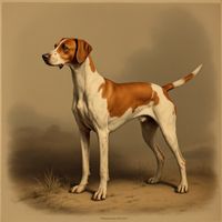 Transylvanian Pointer